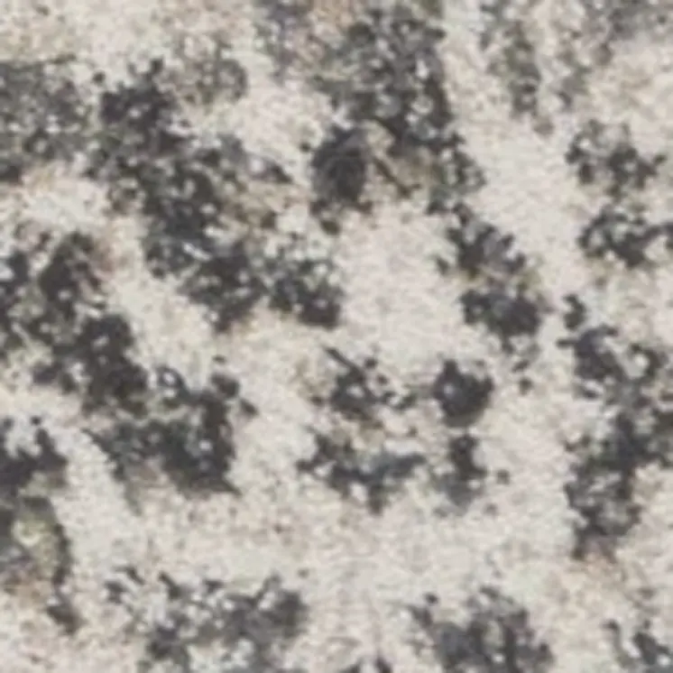 3' X 5' Ivory And Gray Floral Vines Distressed Area Rug