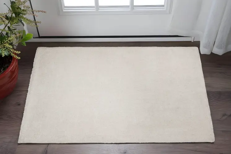 3' X 5' Ivory Shag Hand Woven Area Rug