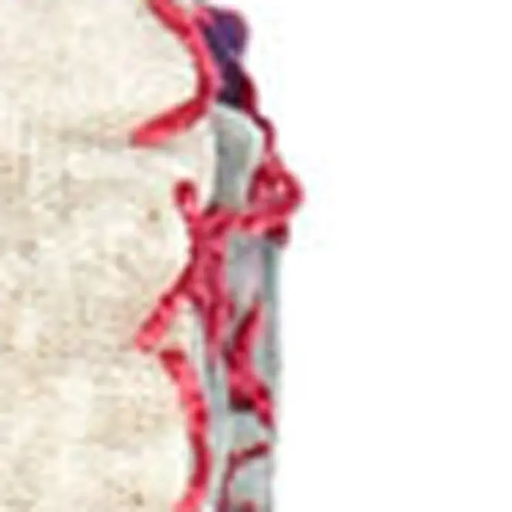50" X 70" Pink and Ivory Kantha Cotton Floral Throw Blanket with Embroidery