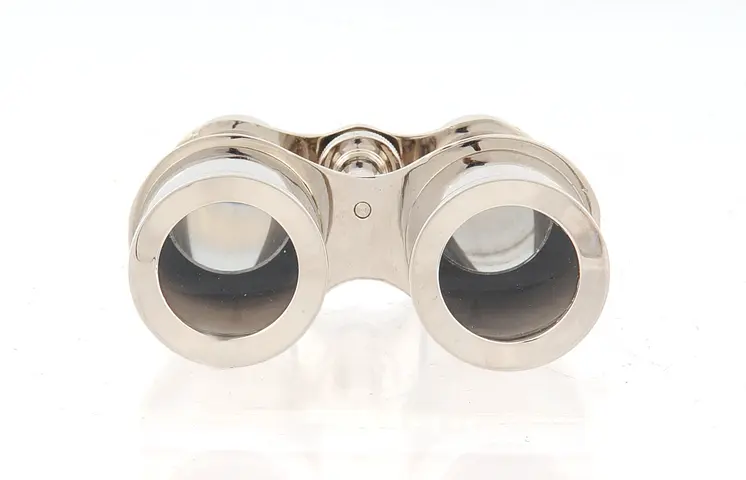 3" Brass Aluminum Hand Painted Decorative Binocular Tabletop Sculpture
