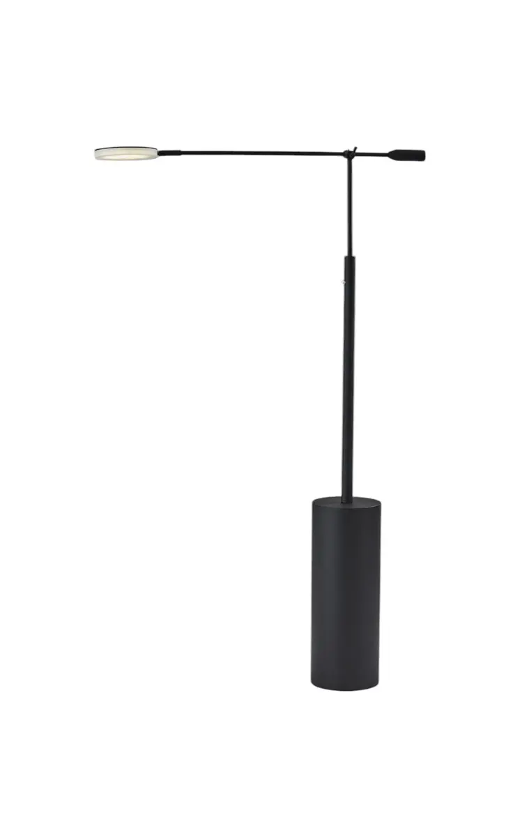 64" Black Metal LED Light Changing Swing Arm Floor Lamp