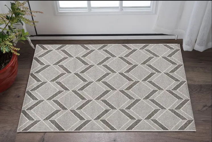 3' X 5' Gray Geometric Indoor Outdoor Area Rug