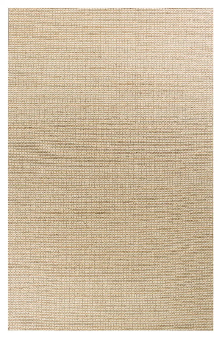 5' X 7' Ivory Hand Woven Area Rug
