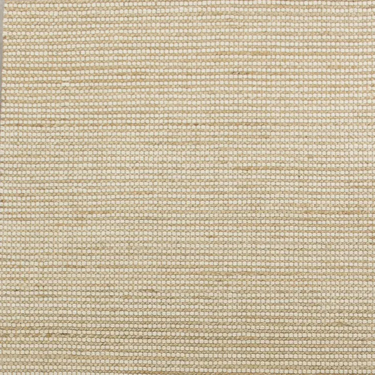 5' X 7' Ivory Hand Woven Area Rug