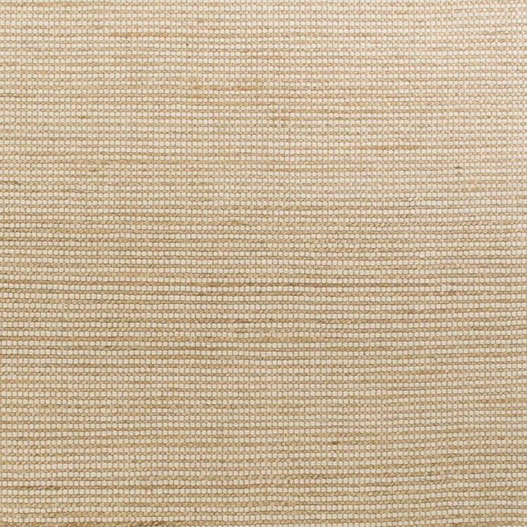 5' X 7' Ivory Hand Woven Area Rug