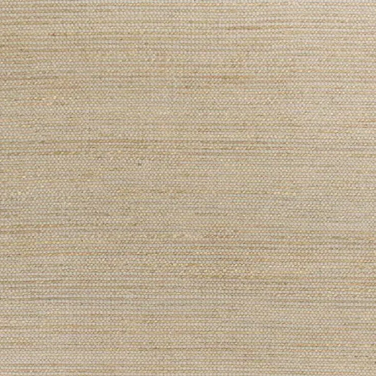 5' X 7' Tan And Ivory Hand Woven Area Rug