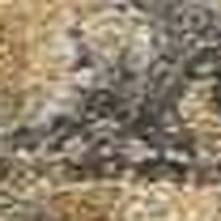 3' X 5' Coffee Brown Machine Woven Floral Medallion Indoor Area Rug
