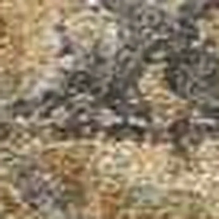 3' X 5' Coffee Brown Machine Woven Floral Medallion Indoor Area Rug