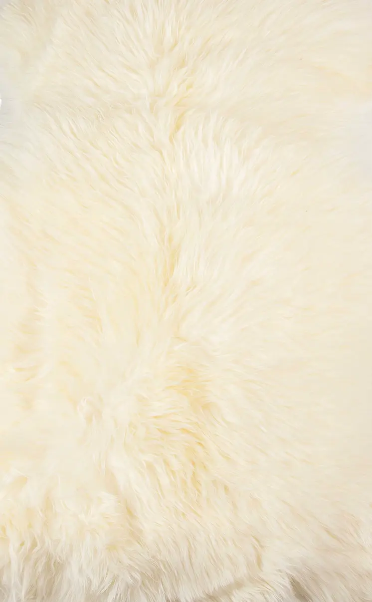 2' X 3' Ivory Shag Area Rug