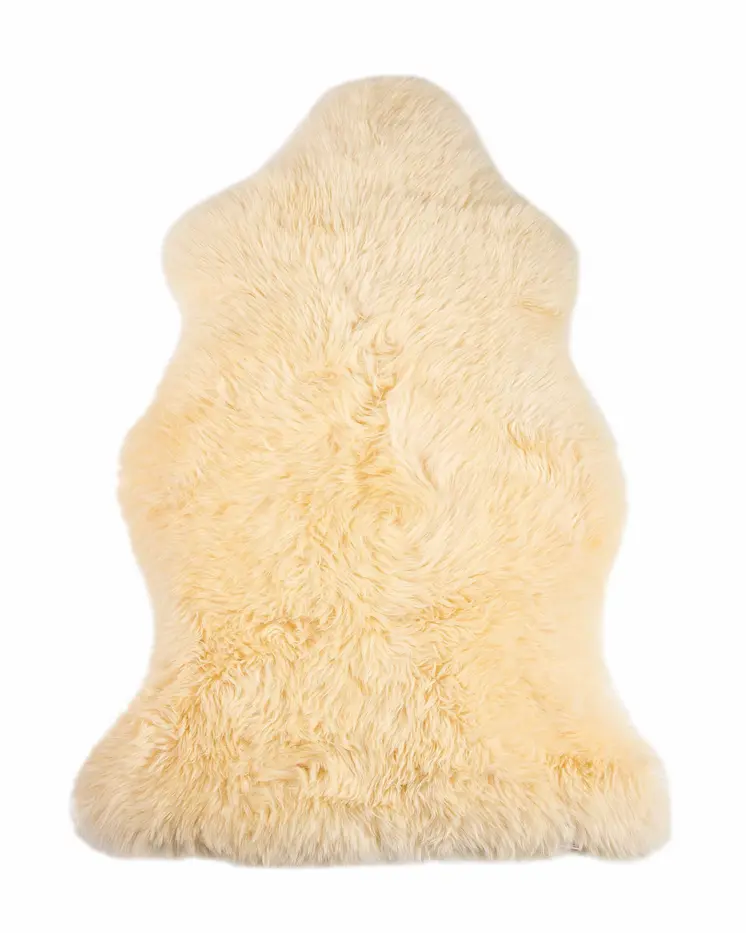 2' X 3' Beige Shag Area Rug