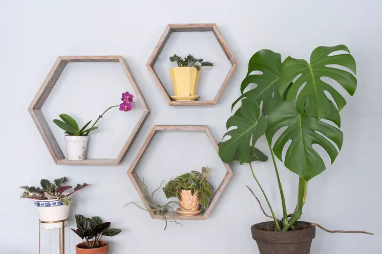 Set of Three Gray Wood Hexagon Wood Open Box Shelves