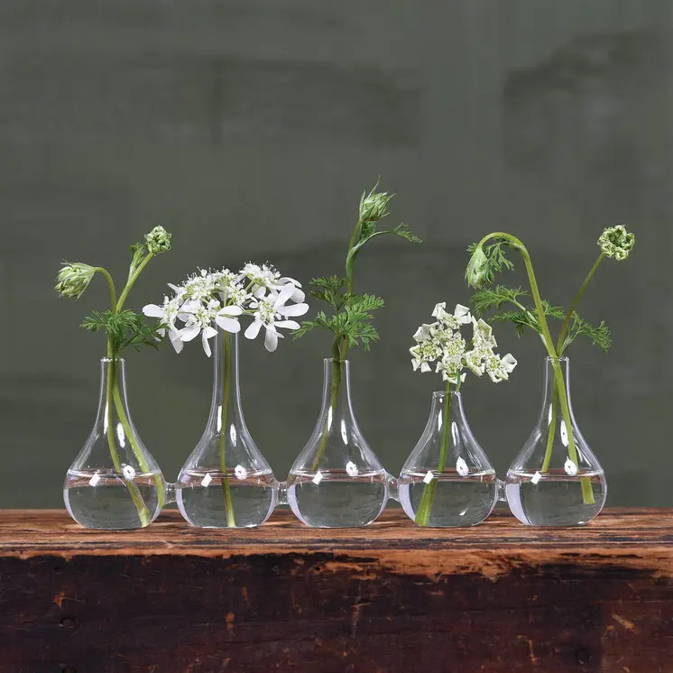 Set of Five Clear Cojoined Glass Bud Vases