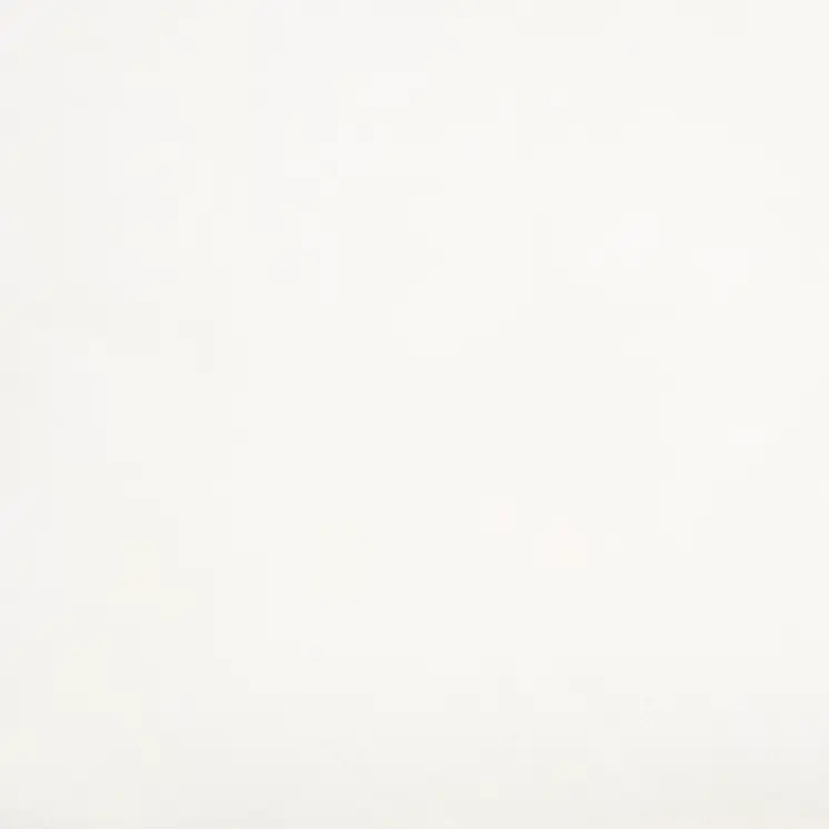 16" X 22" Choice White Lumbar Pillow Insert