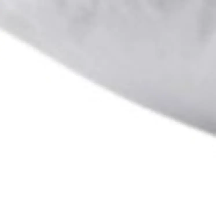 Set of Two Down Alternative Firm Queen Size Bed Pillows