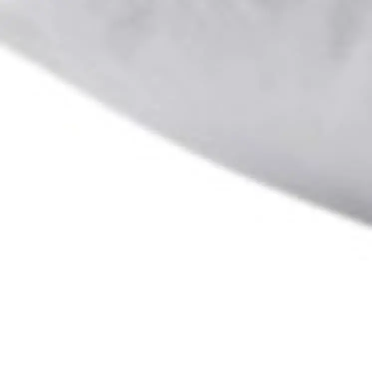Set of Two Down Alternative Firm King Size Bed Pillows