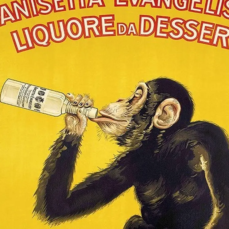 18" x 24"  Anisetta Evangelisti Italian Liquor Unframed Print Wall Art