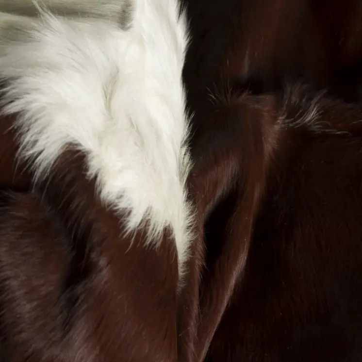 6' X 7' Brown And White Cowhide Area Rug