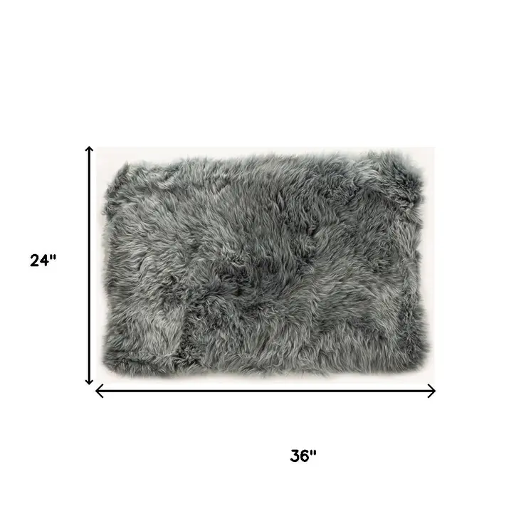 2' X 3' Gray Area Rug