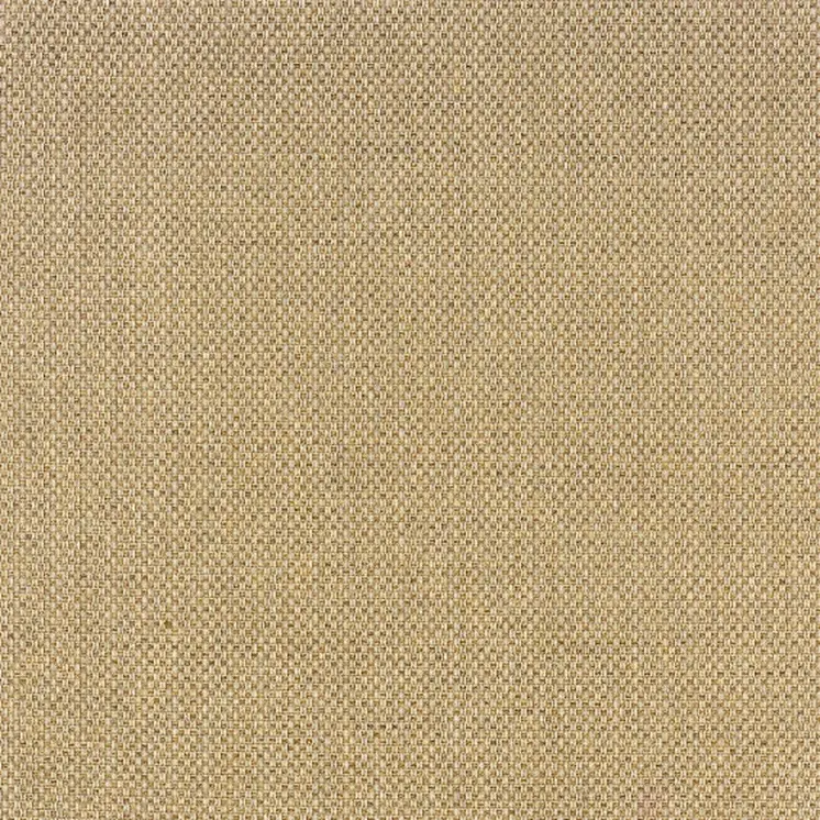 5' X 8' Beige Indoor Outdoor Area Rug