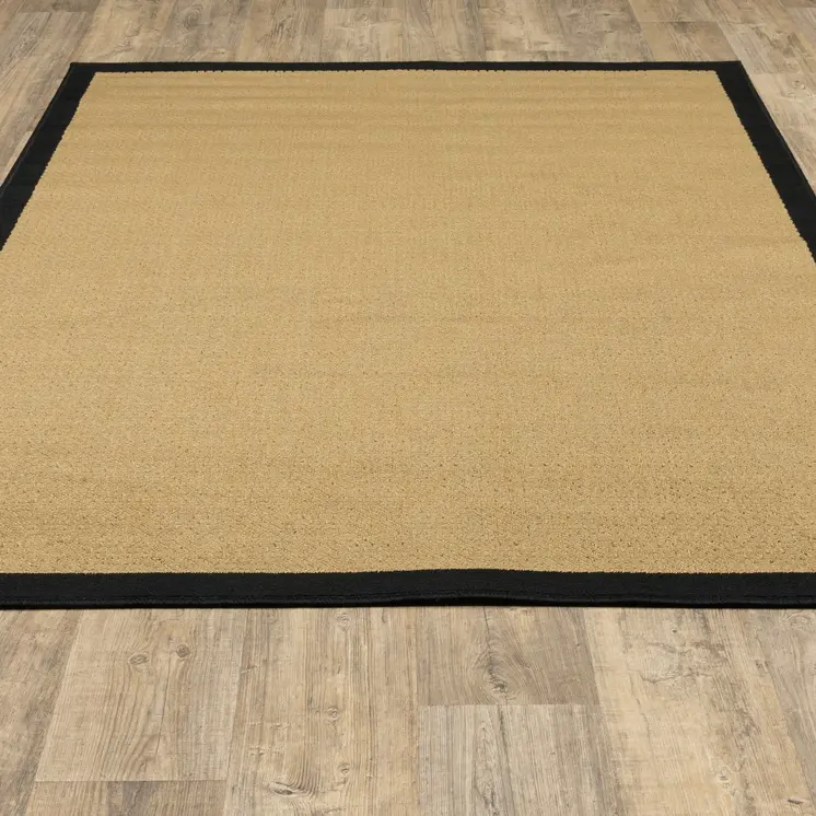 2' X 4' Beige And Black Indoor Outdoor Area Rug