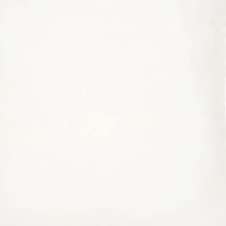 18" White Square Throw Pillow Insert