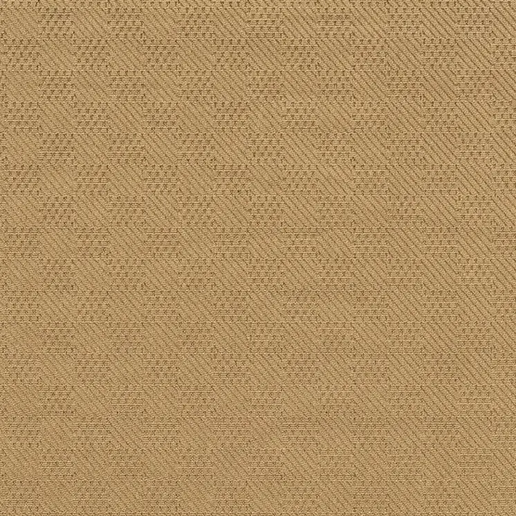 2' X 4' Beige And Black Indoor Outdoor Area Rug