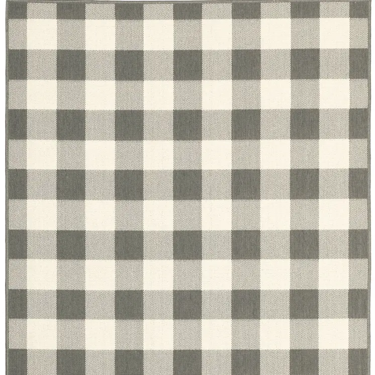 2' X 4' Gray and Ivory Indoor Outdoor Area Rug