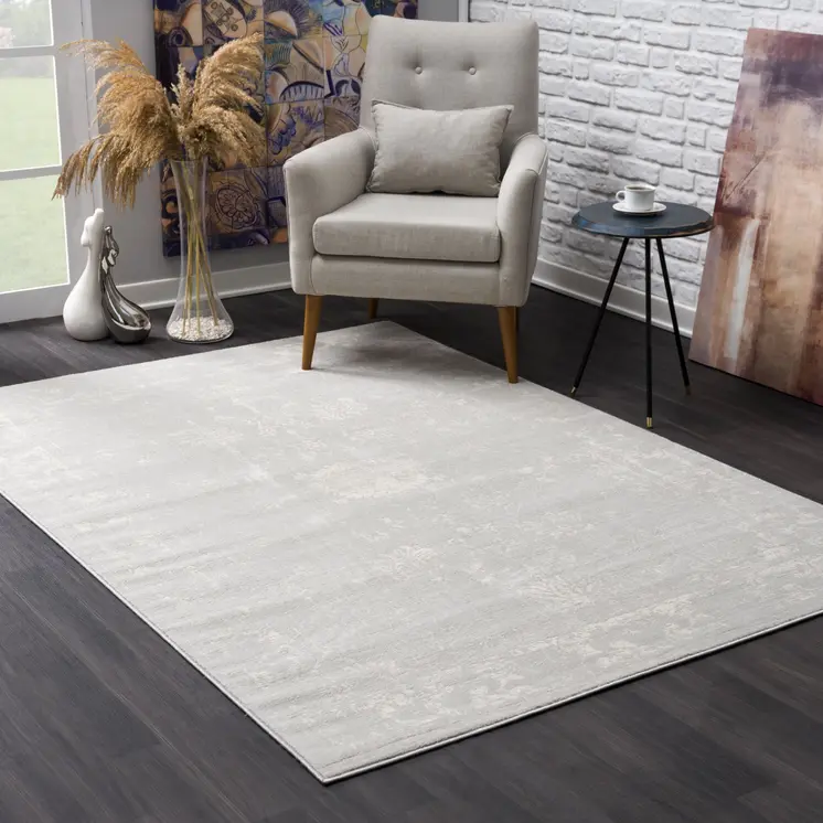 4' X 6' Modern Gray Distressed Area Rug