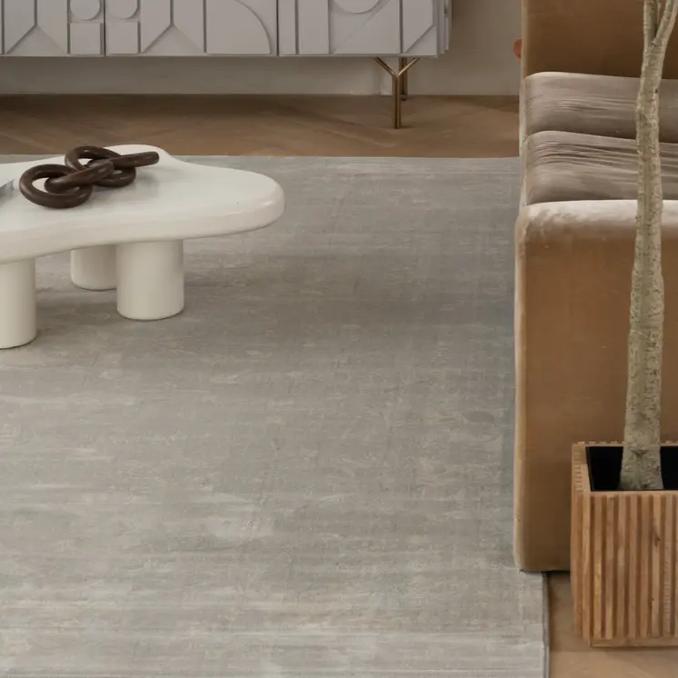 4' X 6' Modern Gray Distressed Area Rug