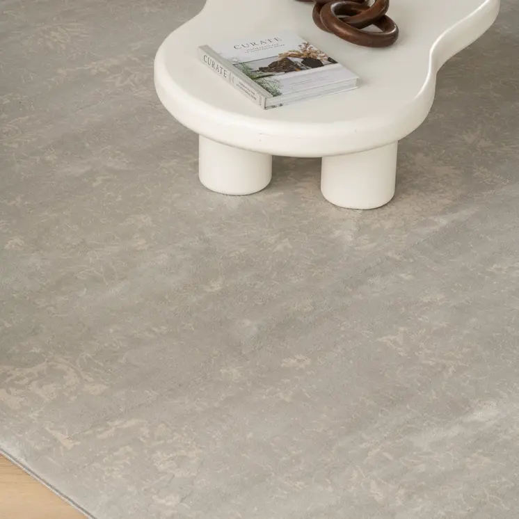 4' X 6' Modern Gray Distressed Area Rug