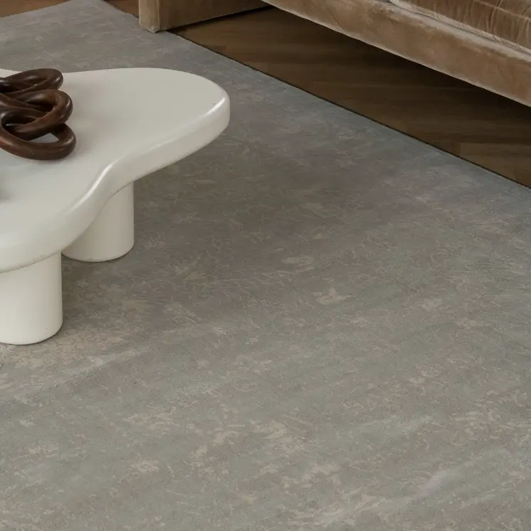 4' X 6' Modern Gray Distressed Area Rug