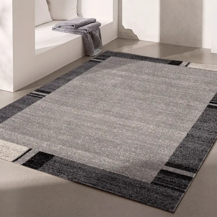 4' X 6' Gray Modern Bordered Area Rug