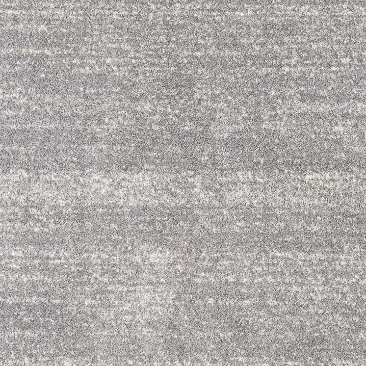 4' X 6' Gray Modern Bordered Area Rug