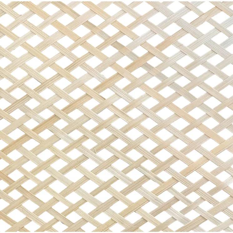 Natural Boho Weave Ceiling Lamp