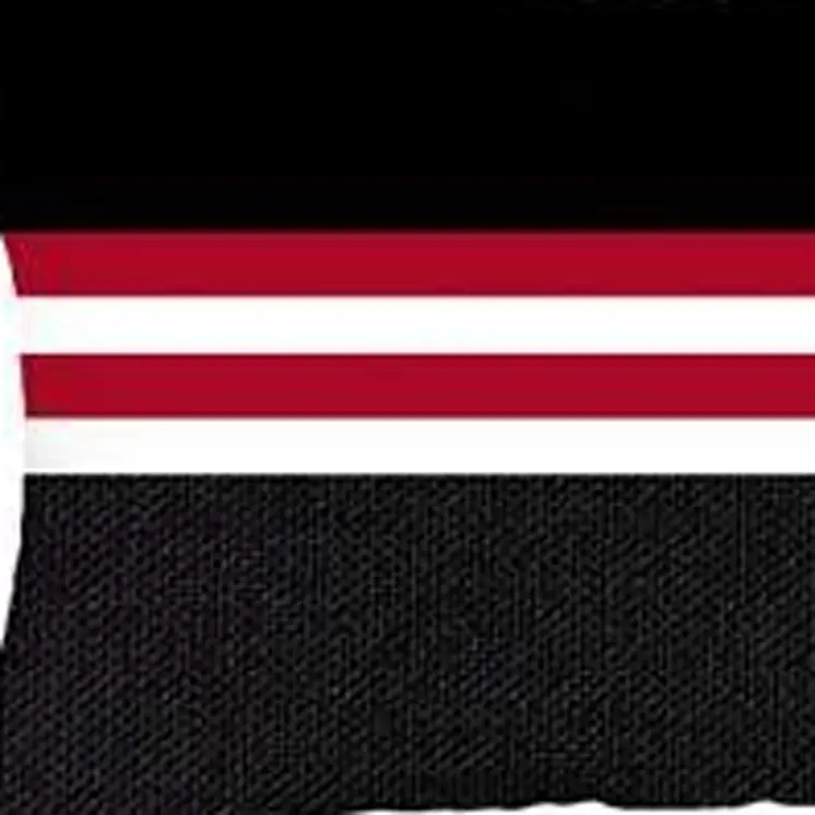 Set Of 4 Red And Black Lumbar Pillow Covers