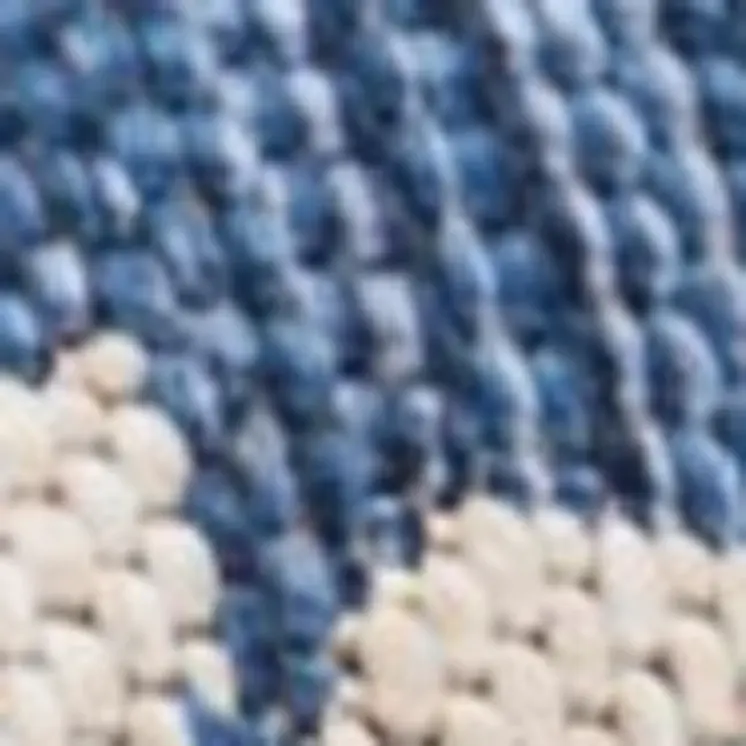 5' X 7' Blue And Gray Indoor Outdoor Area Rug