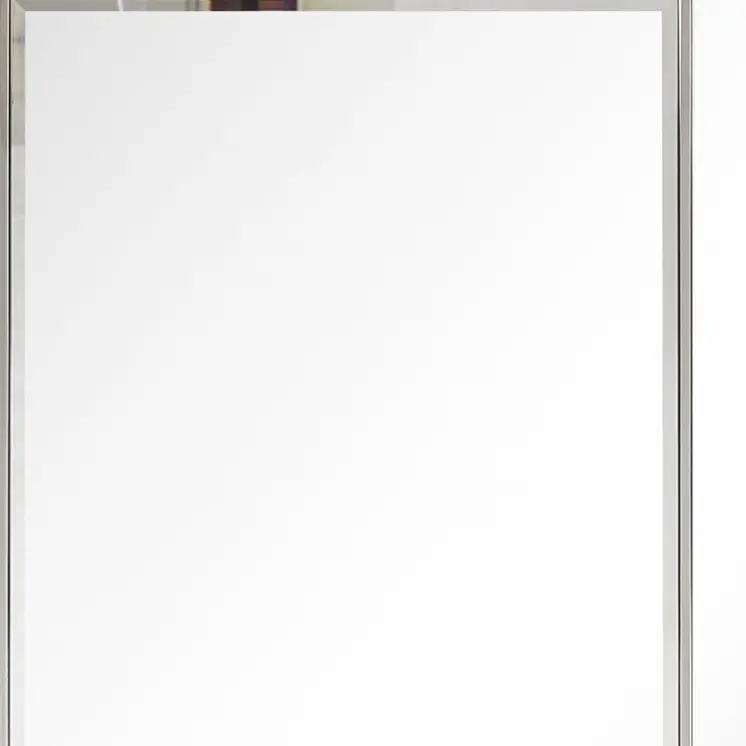 Stainless Steel Wall Mirror