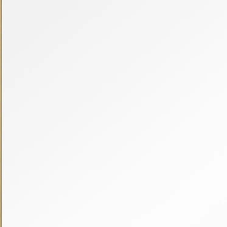 51" Gold Metal Framed Freestanding Standing Mirror