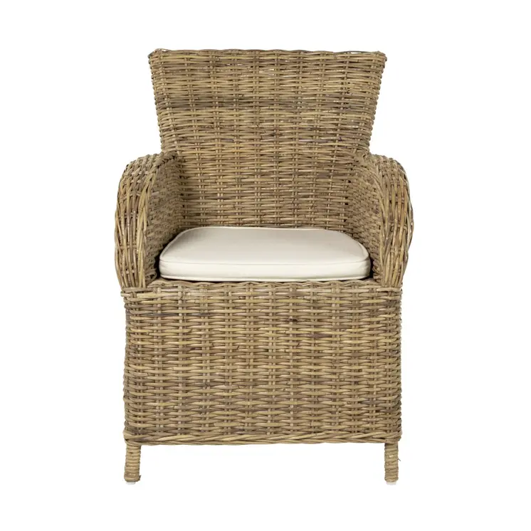 Set of Two Cream and Tan Dining Arm Chairs