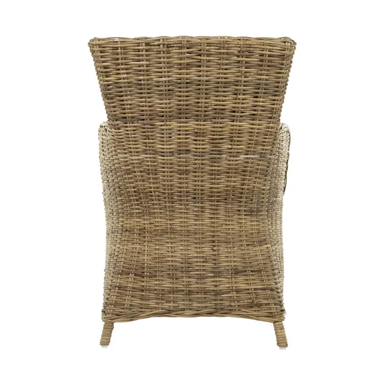 Set of Two Cream and Tan Dining Arm Chairs