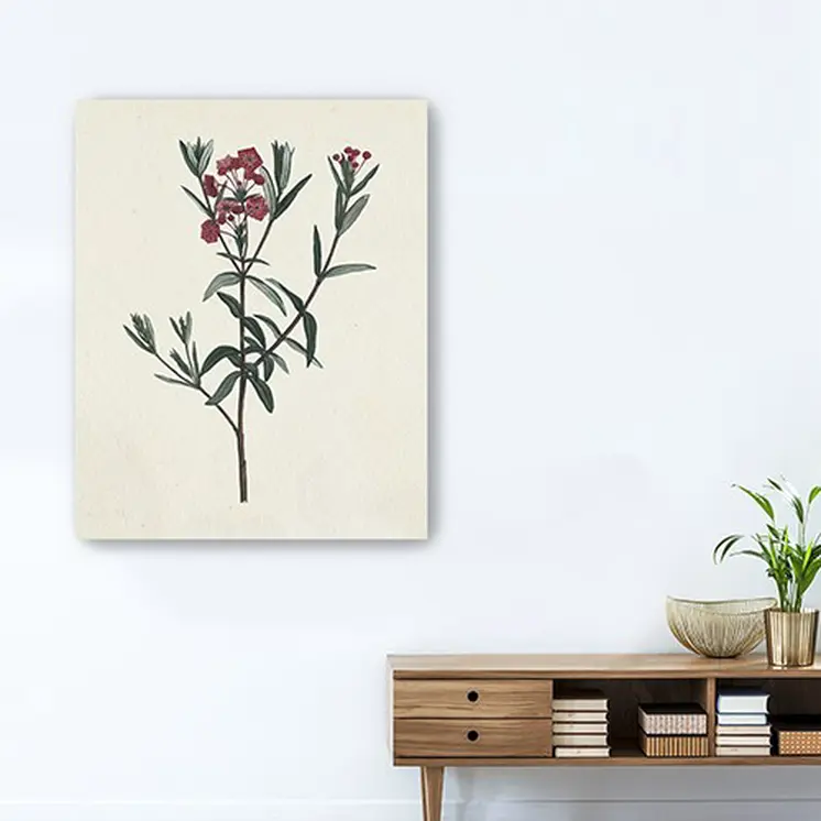 Singular Red Blossom Branch Unframed Print Wall Art
