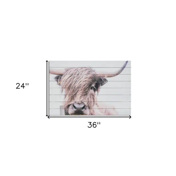 Unframed Photograph Wall Art