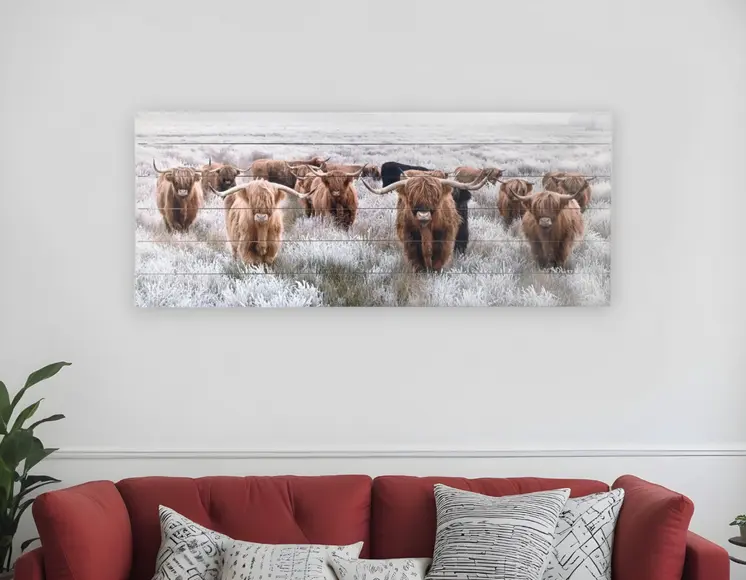 Angelic Highland Cow Herd Wood Plank Wall Art