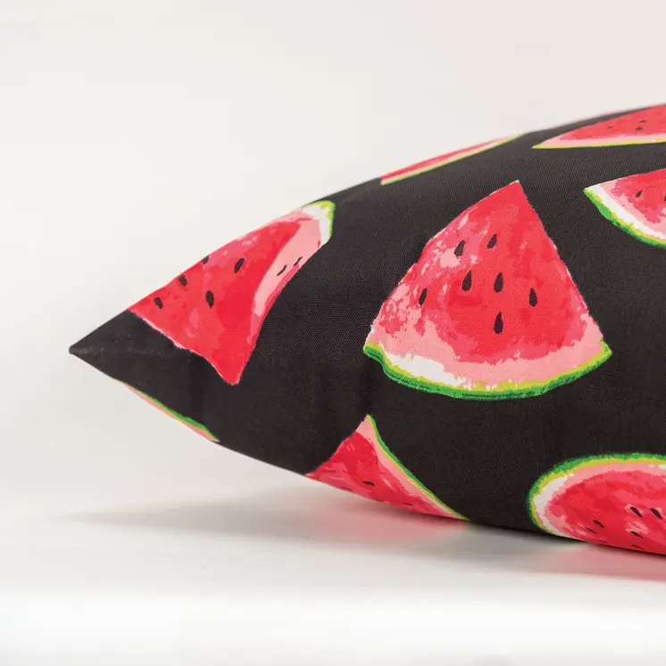 22" Black And Red Watermelon Indoor Outdoor Throw Pillow