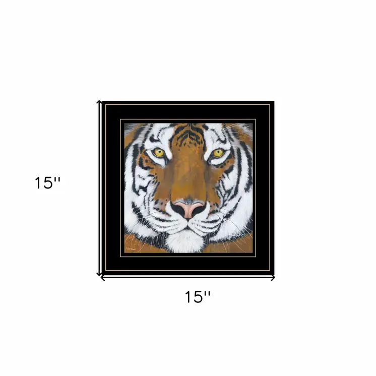 Tiger Gaze 2 Black Framed Print Wall Art