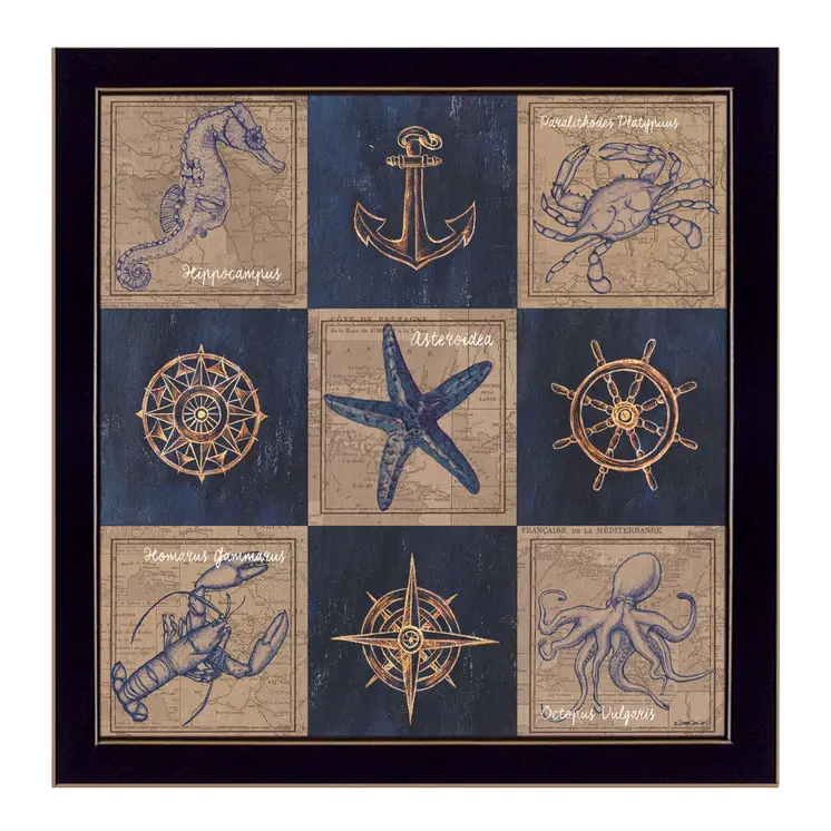 Coastal Collage I Black Framed Print Wall Art