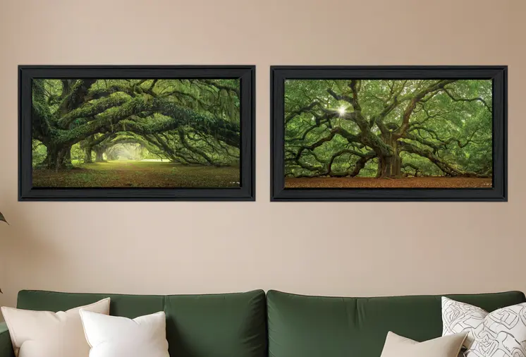 Set Of Two Tree Arbors by Moises Levy Black Frame Black Framed Print Wall Art