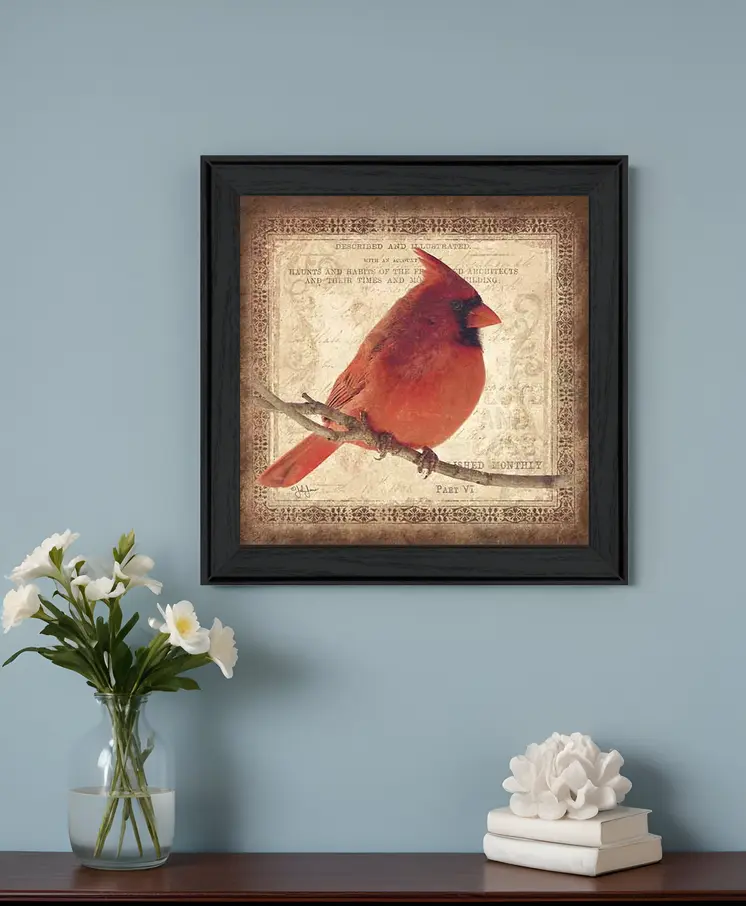 Male Cardinal 2 Black Framed Print Wall Art