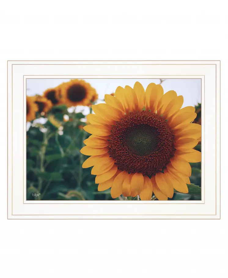 Midwest Livin II 2 White Framed Print Wall Art