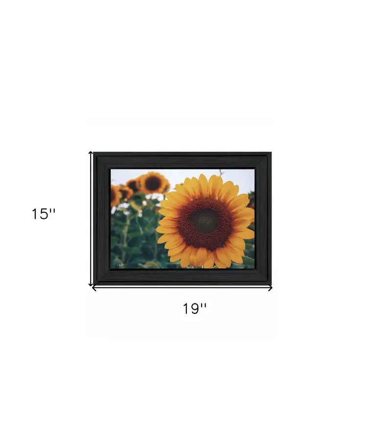 Midwest Livin II 3 Black Framed Print Wall Art